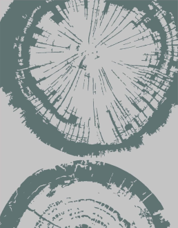 Random Circular Revit Pattern Download Free Revit Download – Varia - Circular - Heartwood – BIMsmith Market